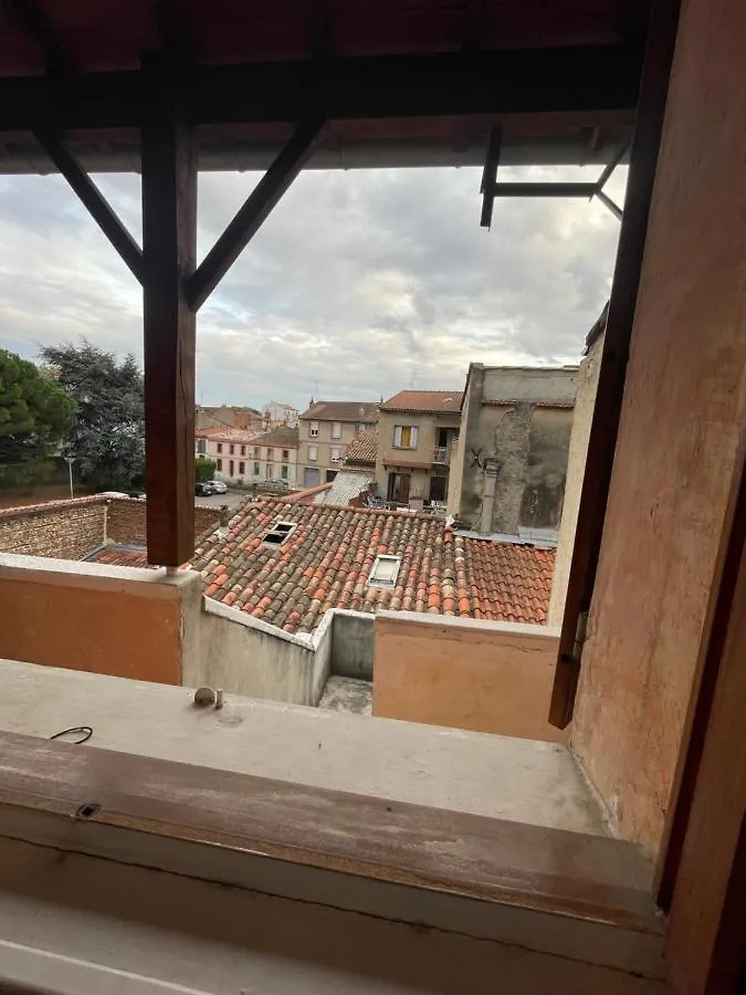 Appartement Vue Sur La Ville Rose Toulouse France